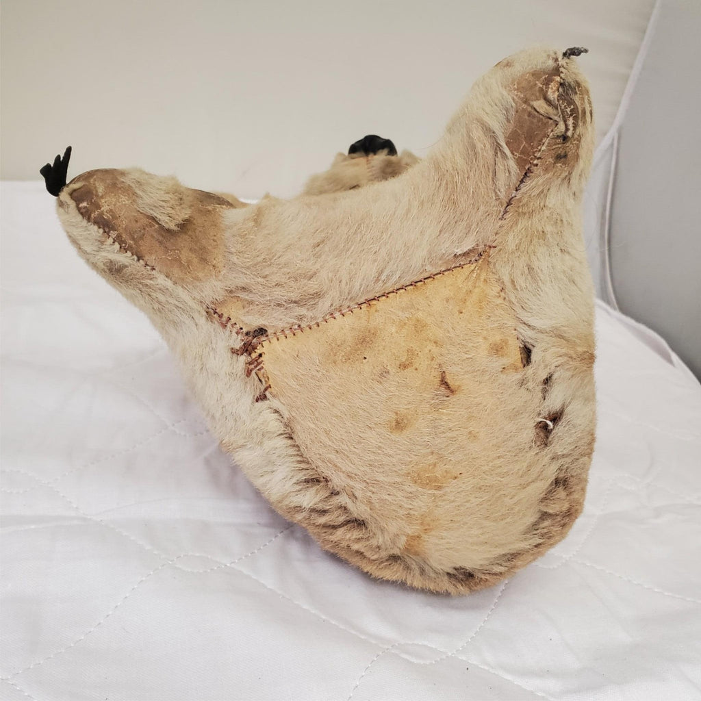 Realistic Plush Koala Bear Life-like Fur