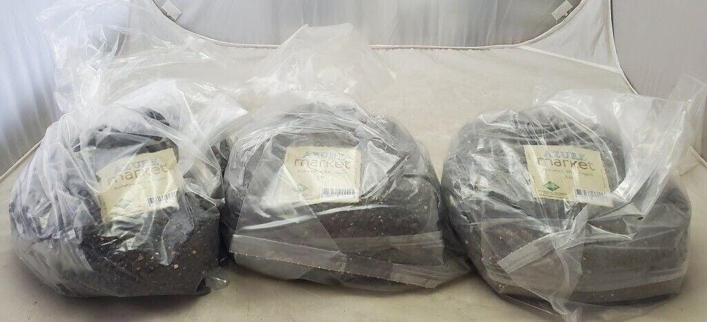 Three Azure Market All Natural Organic Buckwheat Whole Black Sesame Seeds 5 lbs.