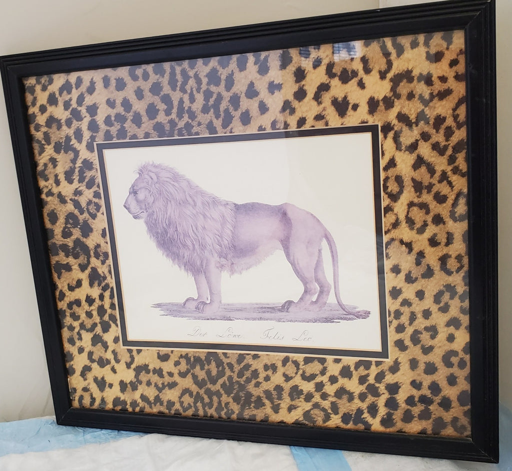 Safari Jungle Decor Print Der Lone Felis Leo Matted Framed Lion Print
