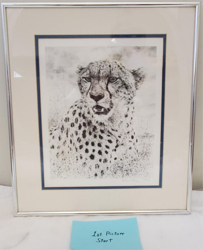 William Baker Cheetah Wildlife Framed Art Print 8 x10 Matted Pencil 973/2500