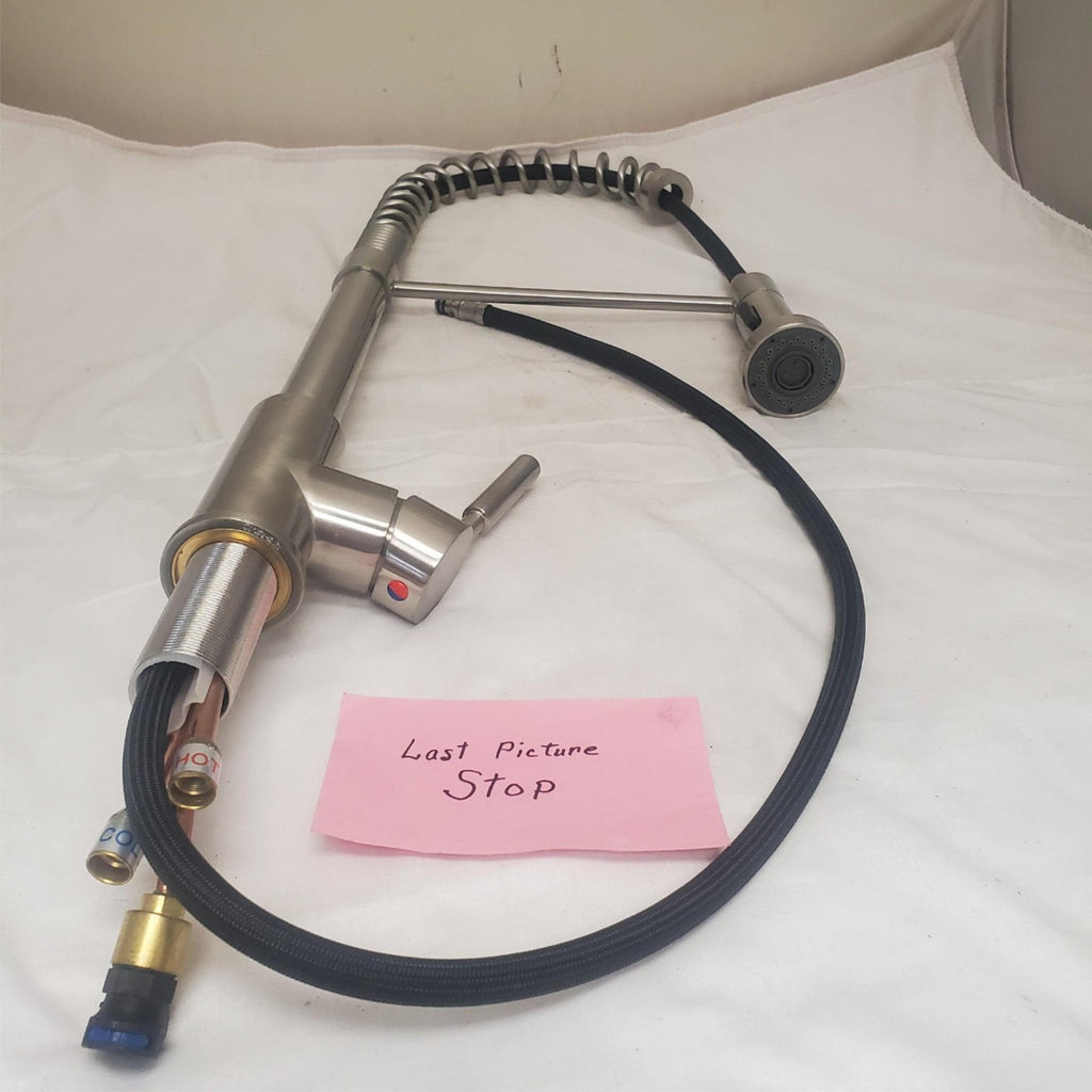 Professional Style Stainless Steel Pull Down Kitchen Faucet Sprayer