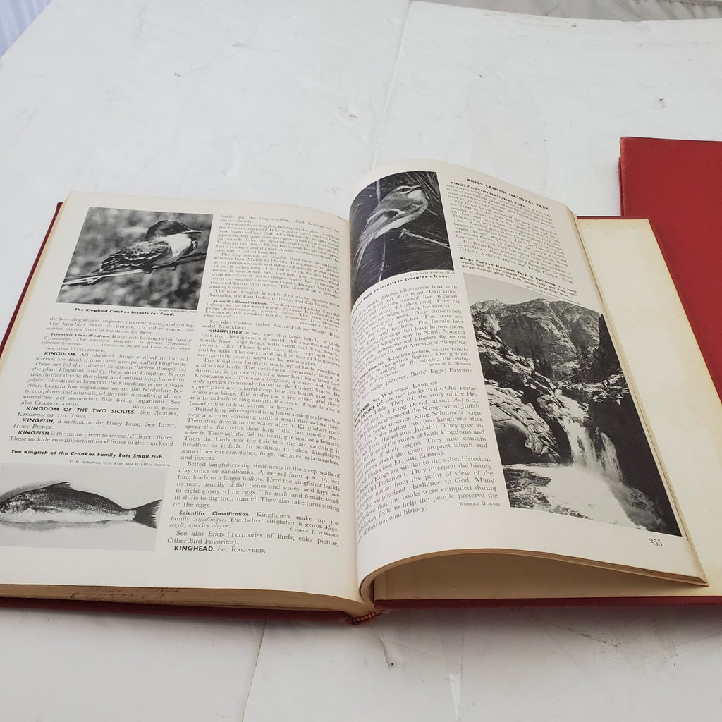 The World Book Encyclopedia Volume J-K /11 and  L Volume 12 Hardcover