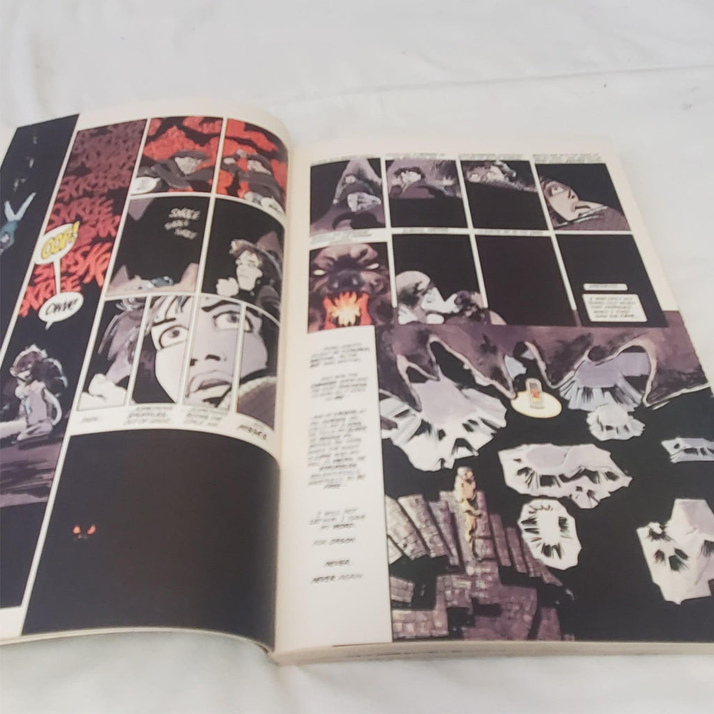 Batman: The Dark Knight Returns Novel by Frank Miller