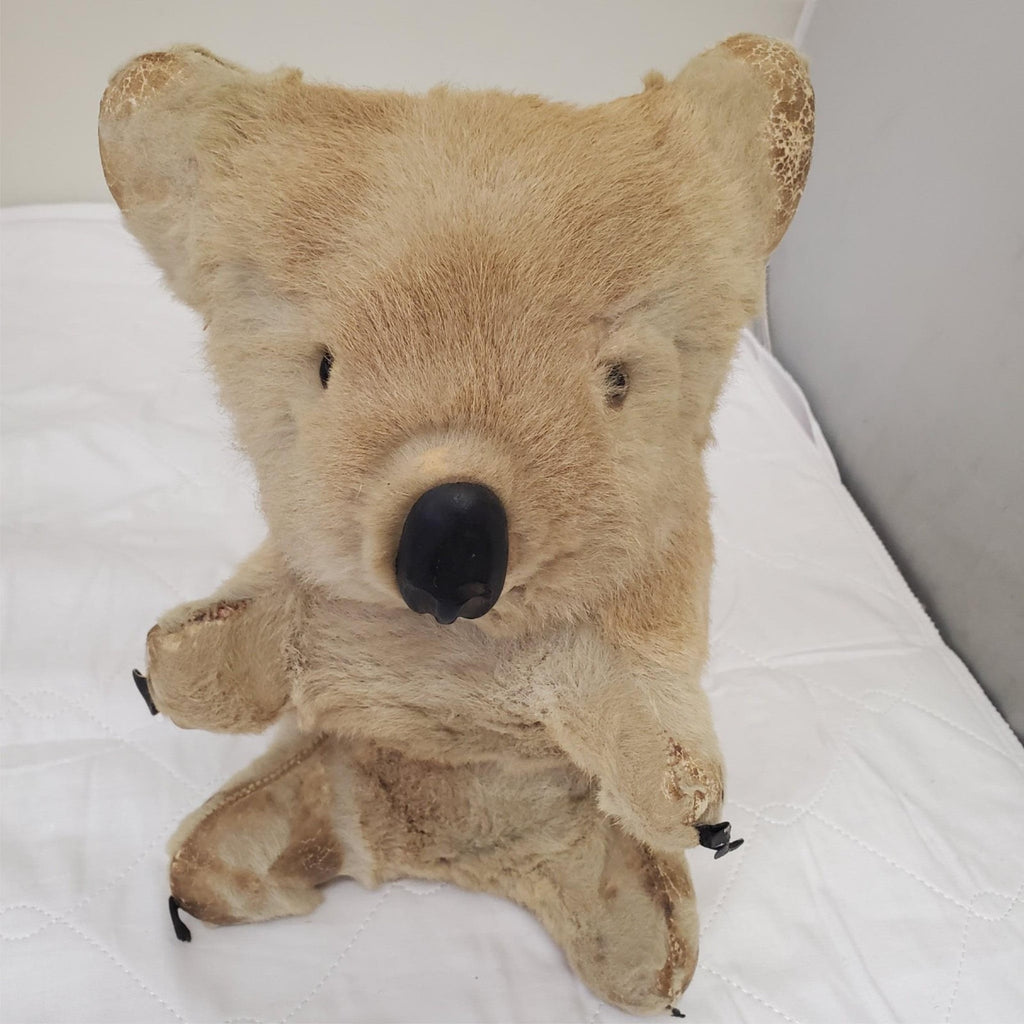 Realistic Plush Koala Bear Life-like Fur