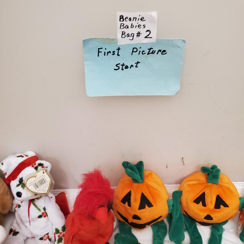 Huge Lot of Assorted TY Beanie Babies Plush Toys #2