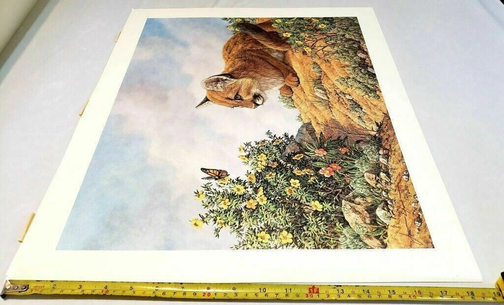 Vintage Cat Art Print with Butterfly and Flowers by James Efarish