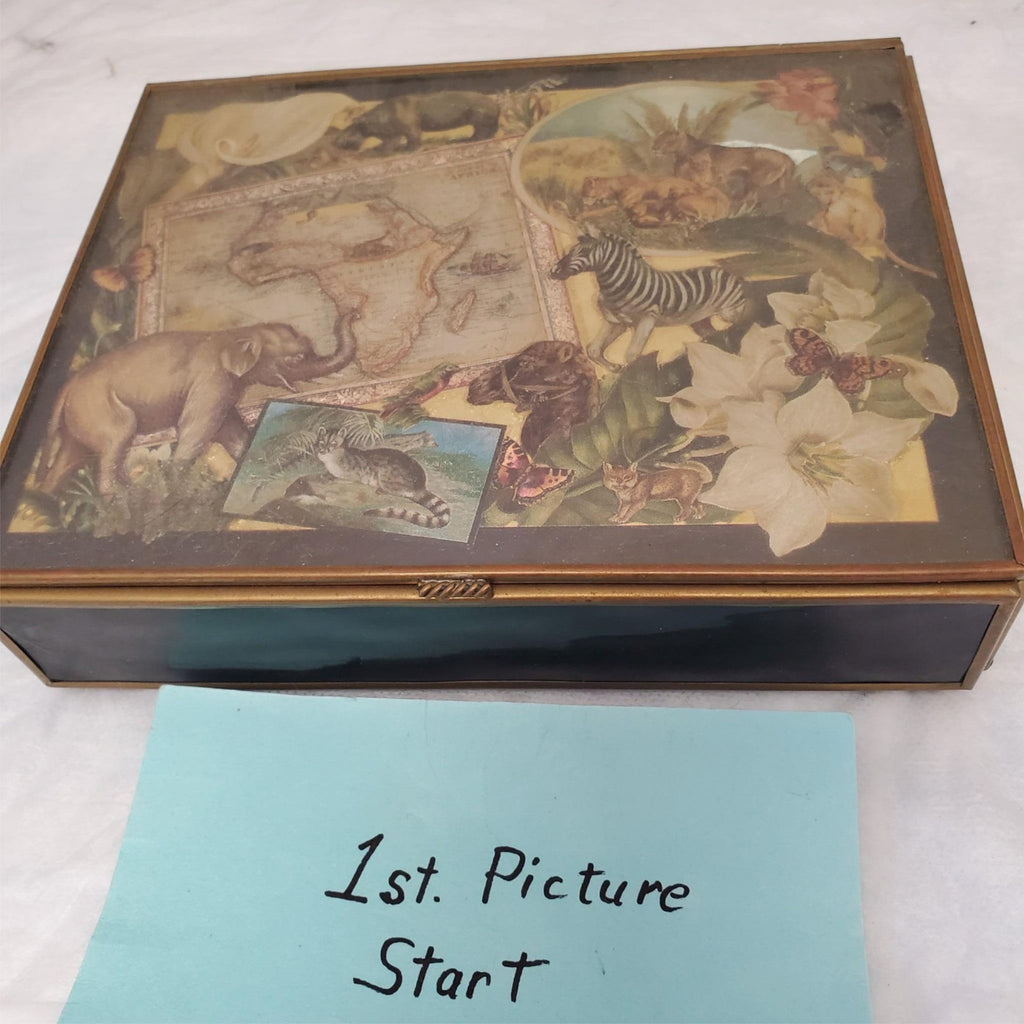 Africa Map Travel Music Box 7" Storage Case Mirror Sound Jewelry Container