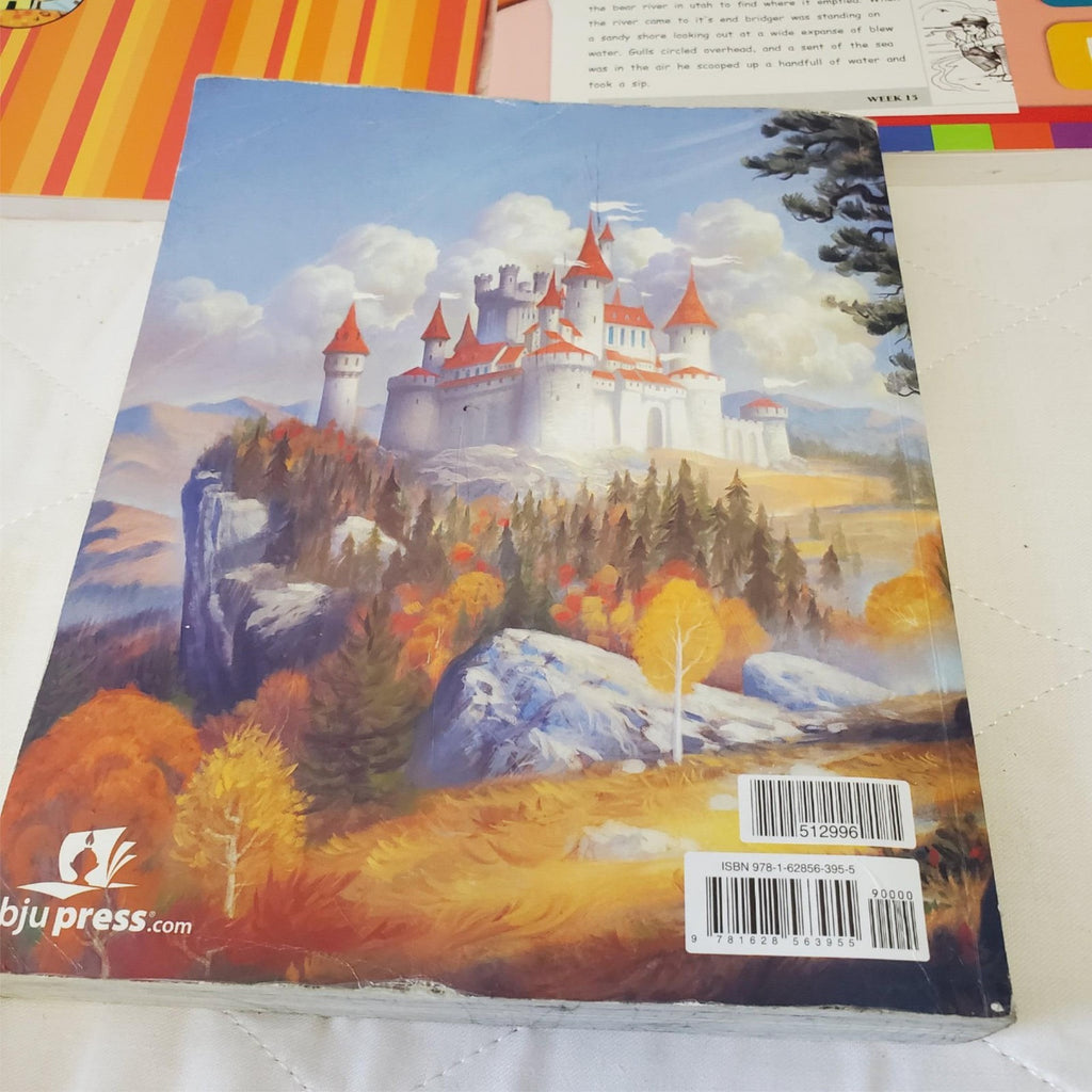 Lot of Various Everything You Need To Know About Knowledge Books