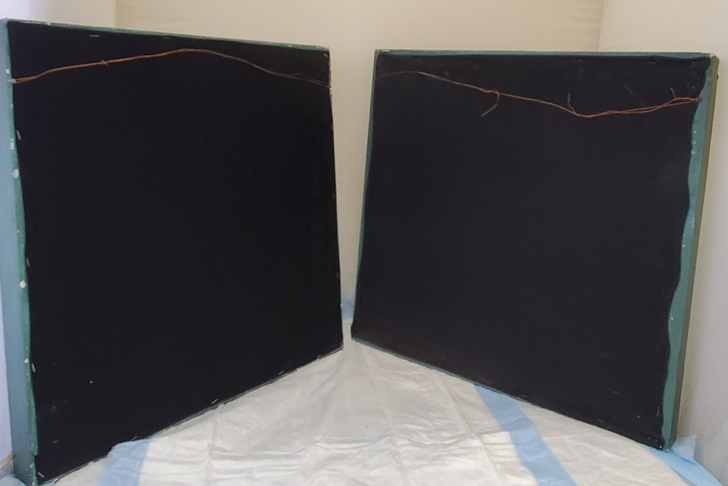 Two Palma Christi Ornithogalum Pannonicum Painting Home Decor