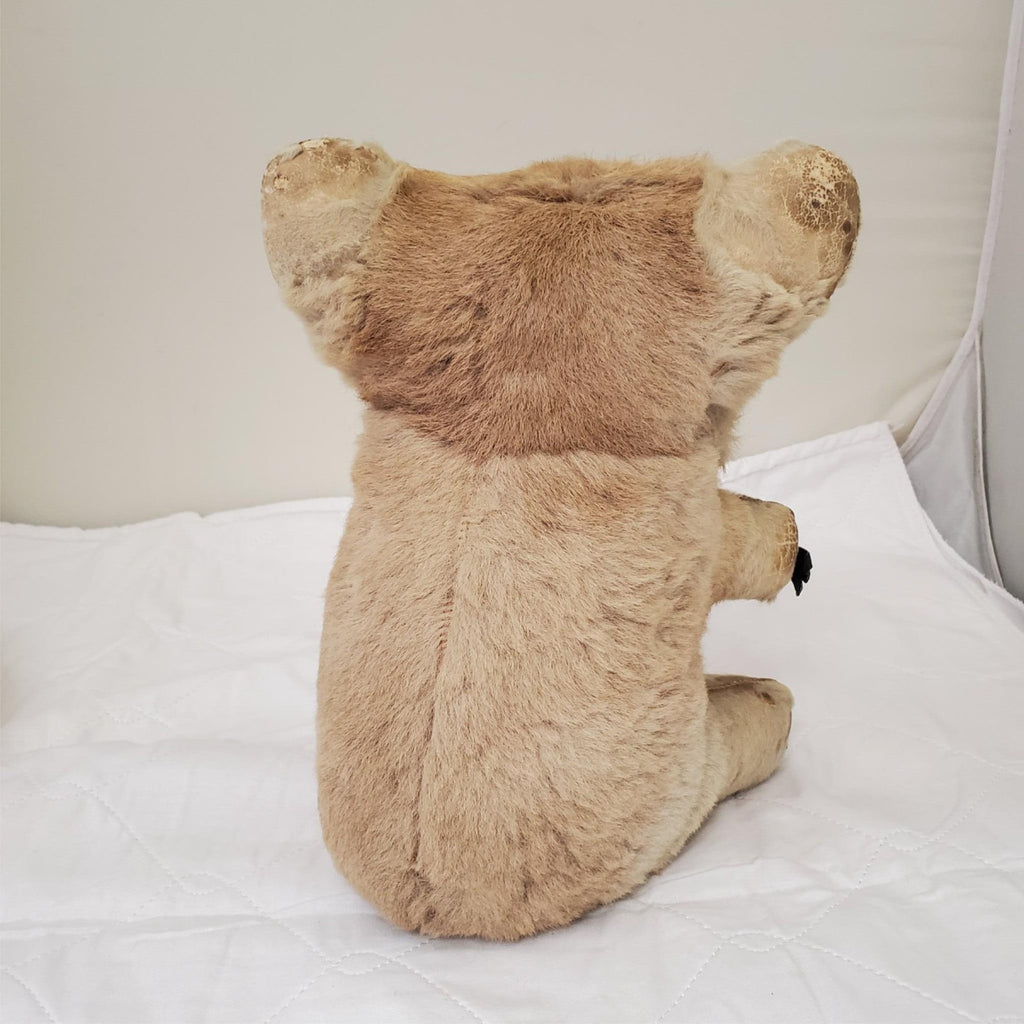 Realistic Plush Koala Bear Life-like Fur