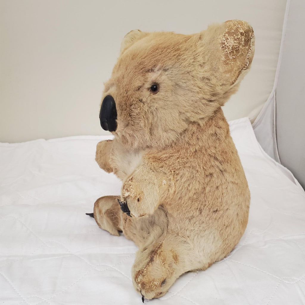 Realistic Plush Koala Bear Life-like Fur