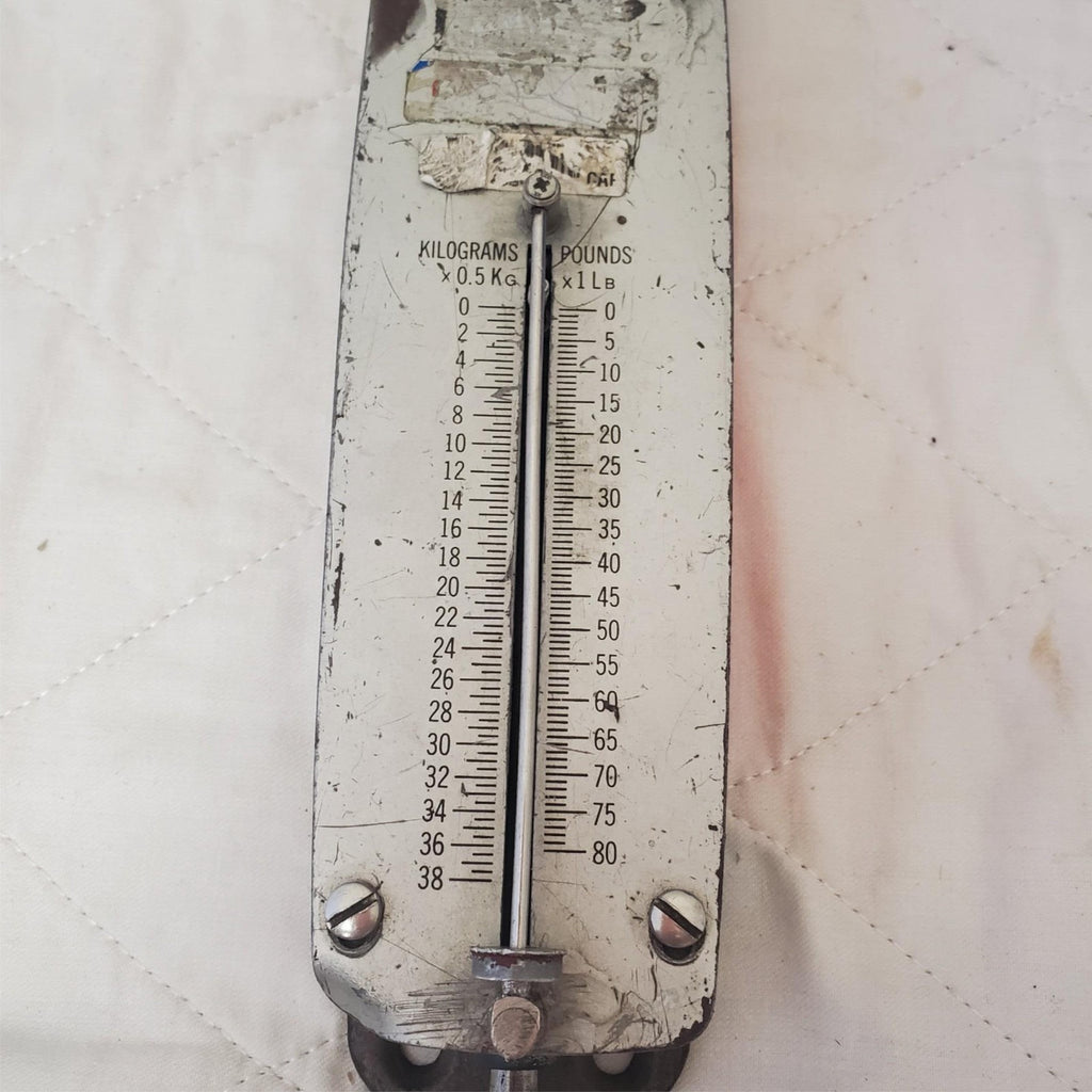 Chatillon 80D Hand Held Spring Gauge LOT-171