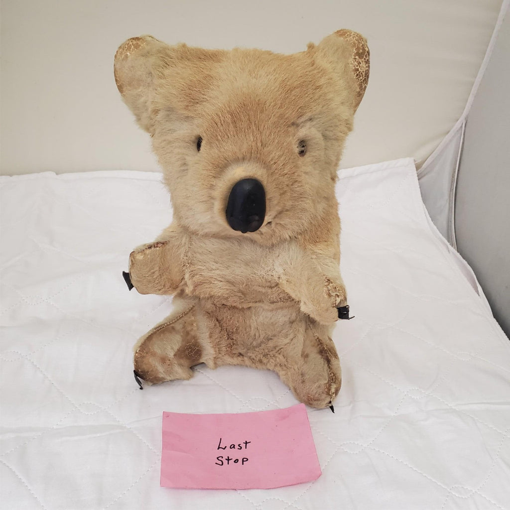 Realistic Plush Koala Bear Life-like Fur