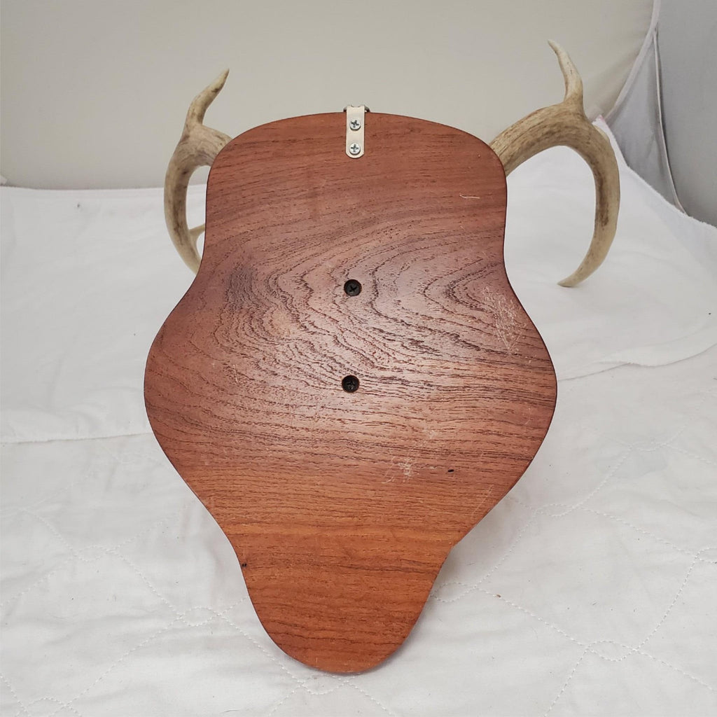 Wooden Whitetail Deer Antlers Rack Wall Mounted