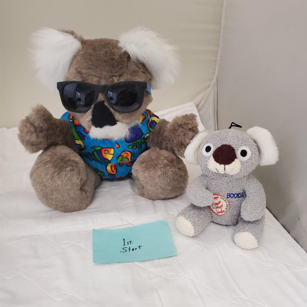 Koala Bear Plush Toy Set Wearing Hatglasses by Kanley