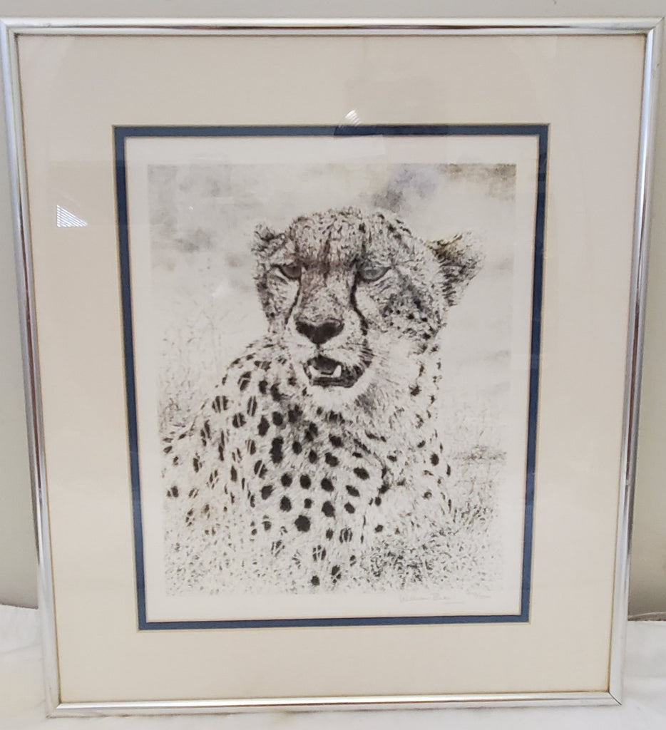 William Baker Cheetah Wildlife Framed Art Print 8 x10 Matted Pencil 973/2500