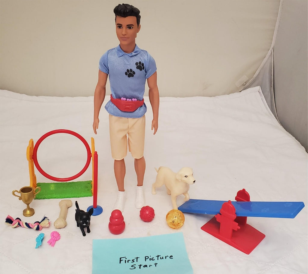 2019 Mattel Barbie Doll You Can Be Anything Dog Trainer Playset