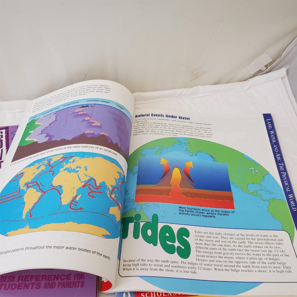 Lot of Various Everything You Need To Know About Knowledge Books