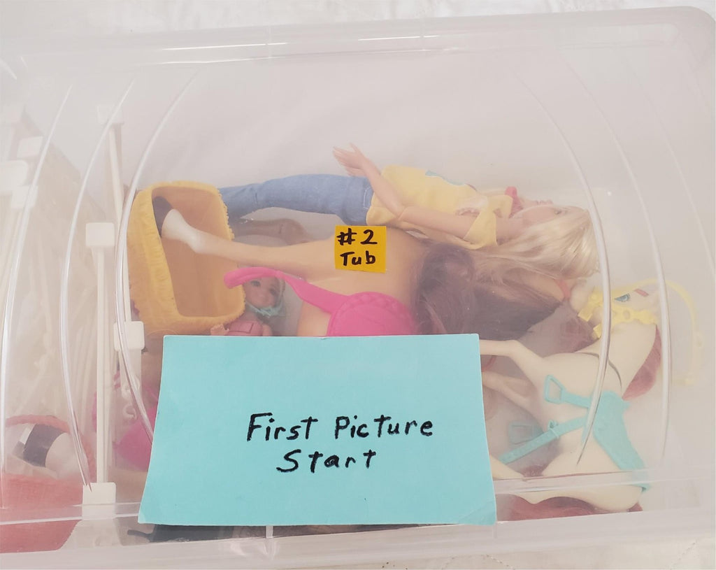 Mattel Barbie Hugs 'n Horses Barbie and Chelsea Blonde Playset #2 Tub