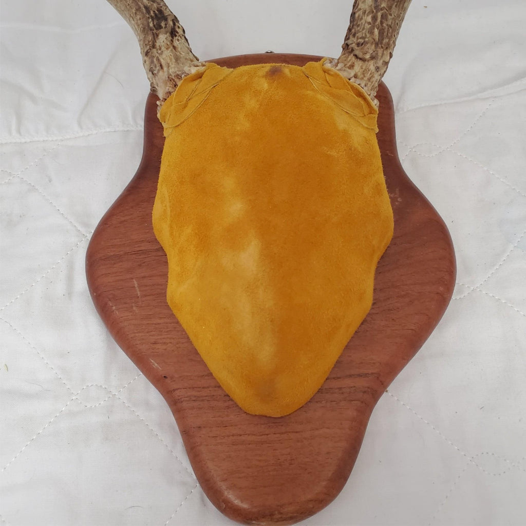 Wooden Whitetail Deer Antlers Rack Wall Mounted