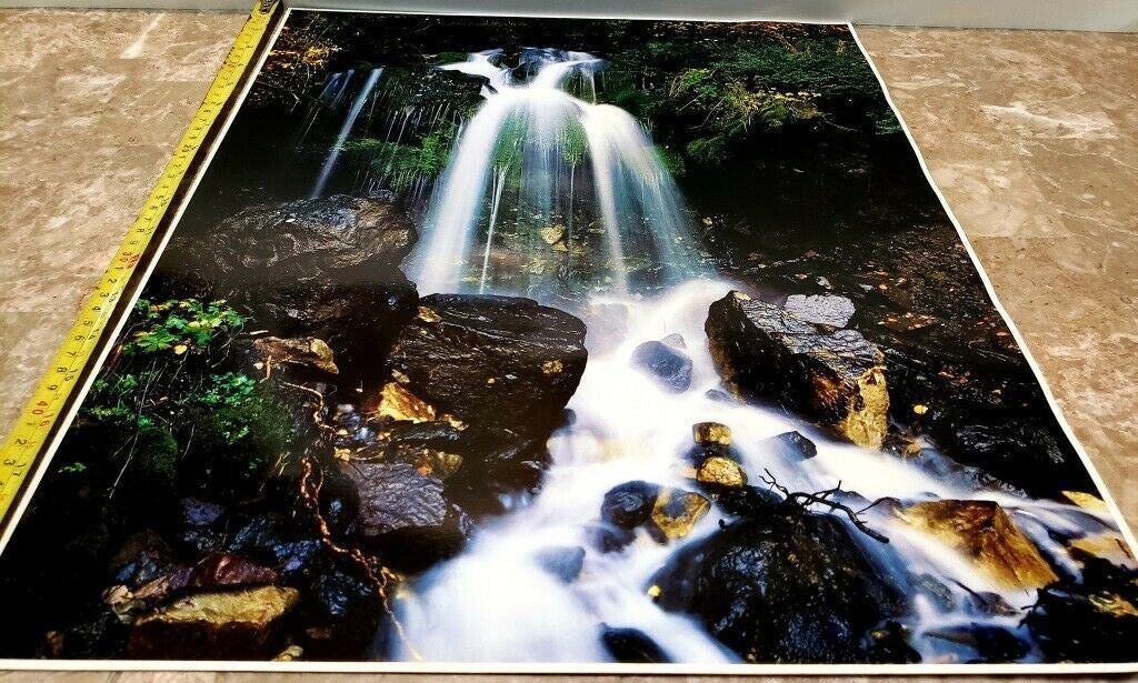 John Wagner Collection IMPACT Photo Print 1978 Waterfall and Mountain Lion
