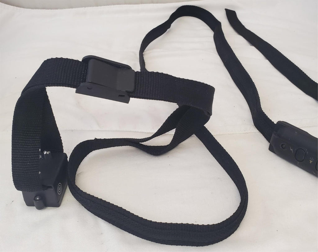 PetSafe Electronic Leash Lead Pet Training System