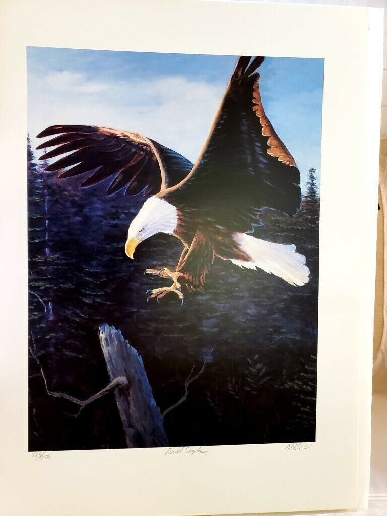 Gray Kremen Symphony on Canvas Bald Eagle Art Print Poster