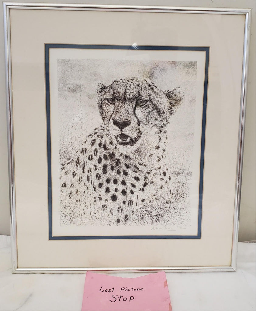 William Baker Cheetah Wildlife Framed Art Print 8 x10 Matted Pencil 973/2500