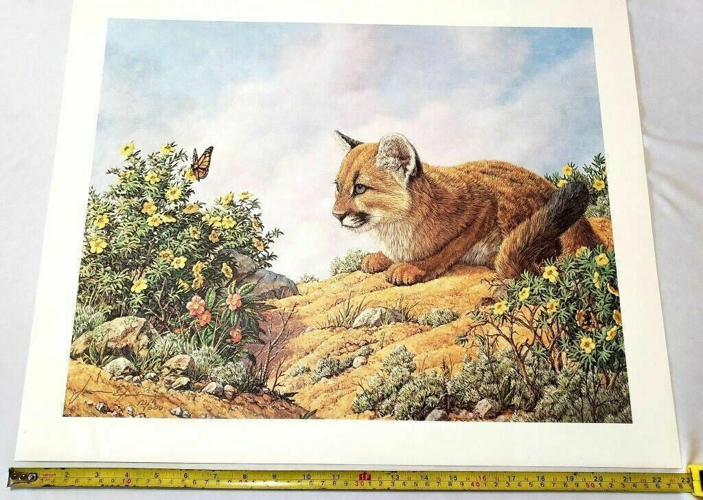 Vintage Cat Art Print with Butterfly and Flowers by James Efarish