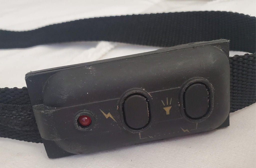 PetSafe Electronic Leash Lead Pet Training System