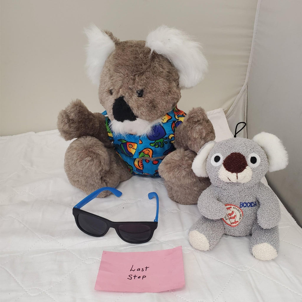 Koala Bear Plush Toy Set Wearing Hatglasses by Kanley
