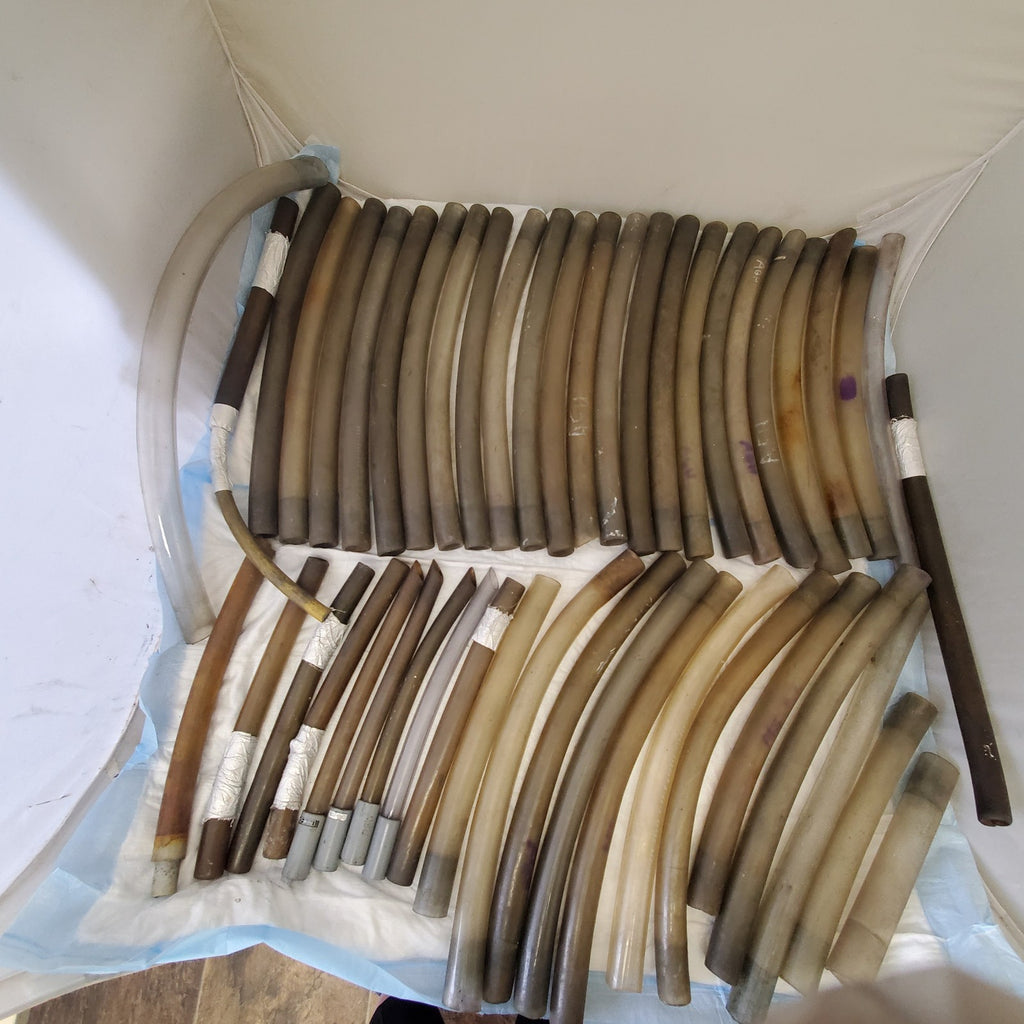Large Lot of Plastic Vacuum Tubes