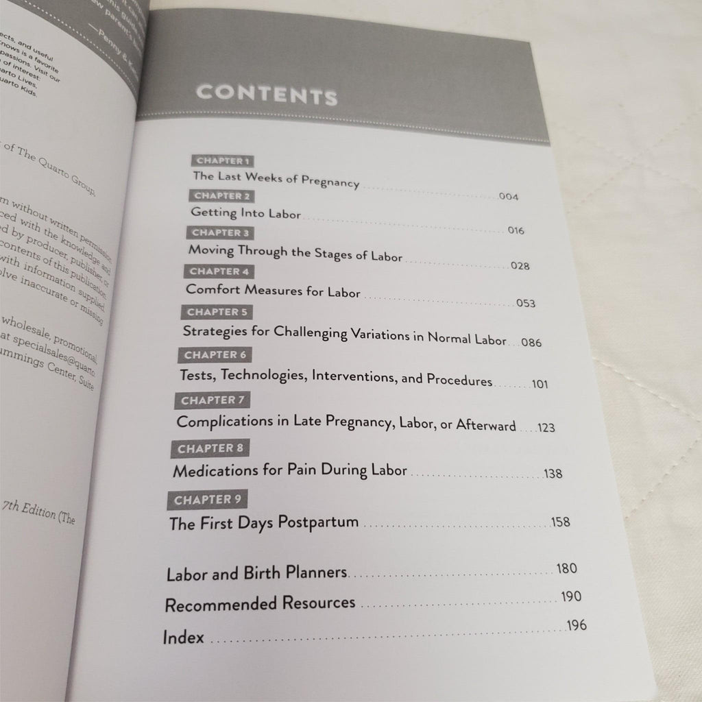 The Birth Partner's Quick Reference Guide and Planner Book By Penny Simkin