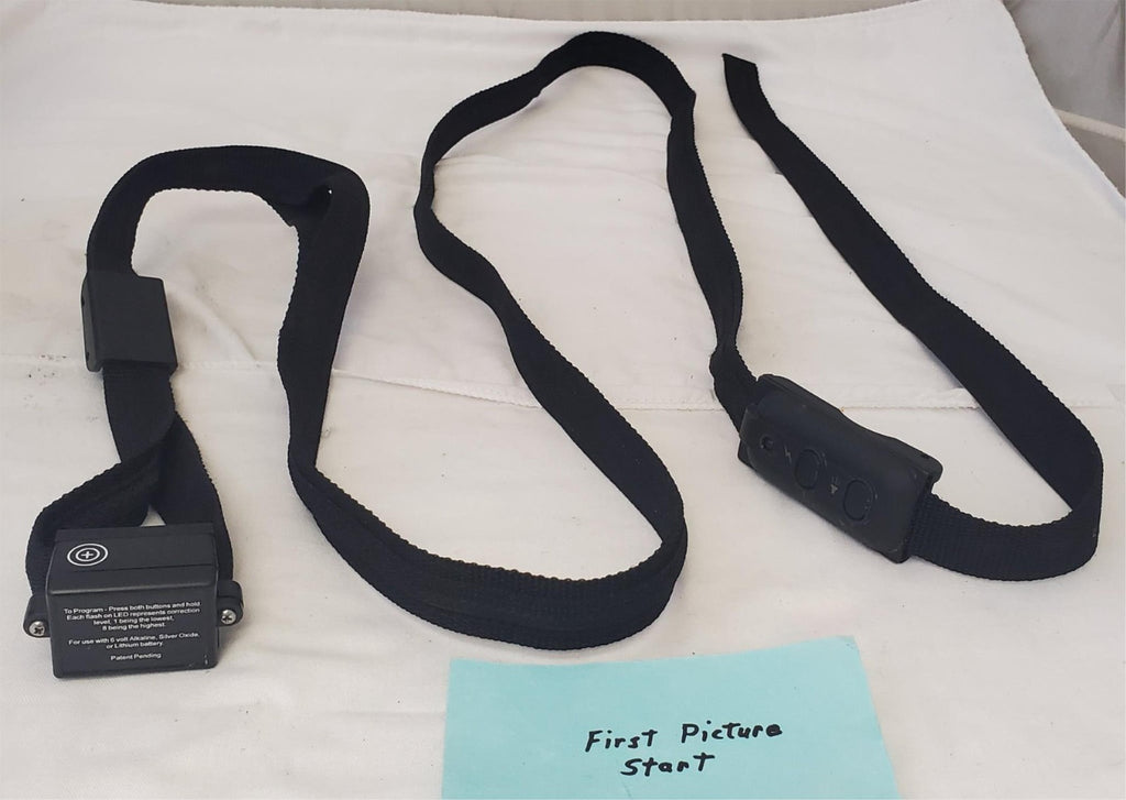 PetSafe Electronic Leash Lead Pet Training System