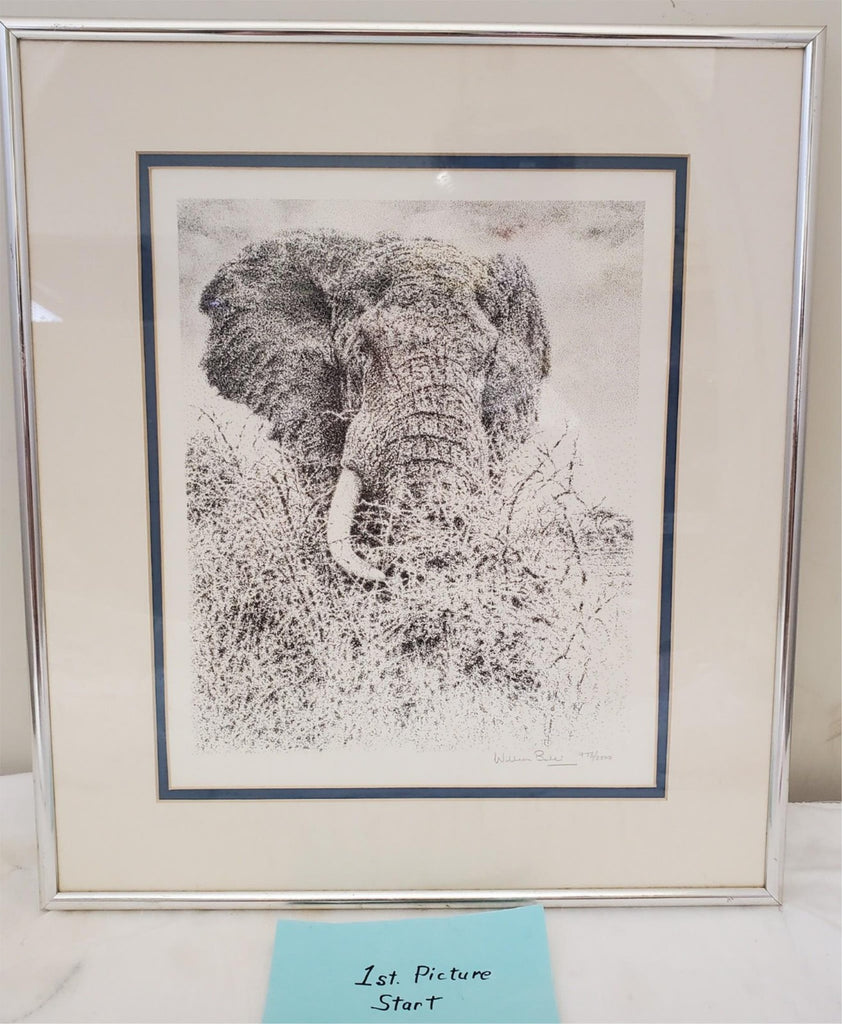 William Baker Elephant Head Print Signed & Framed Limited Edition Nature Artwork