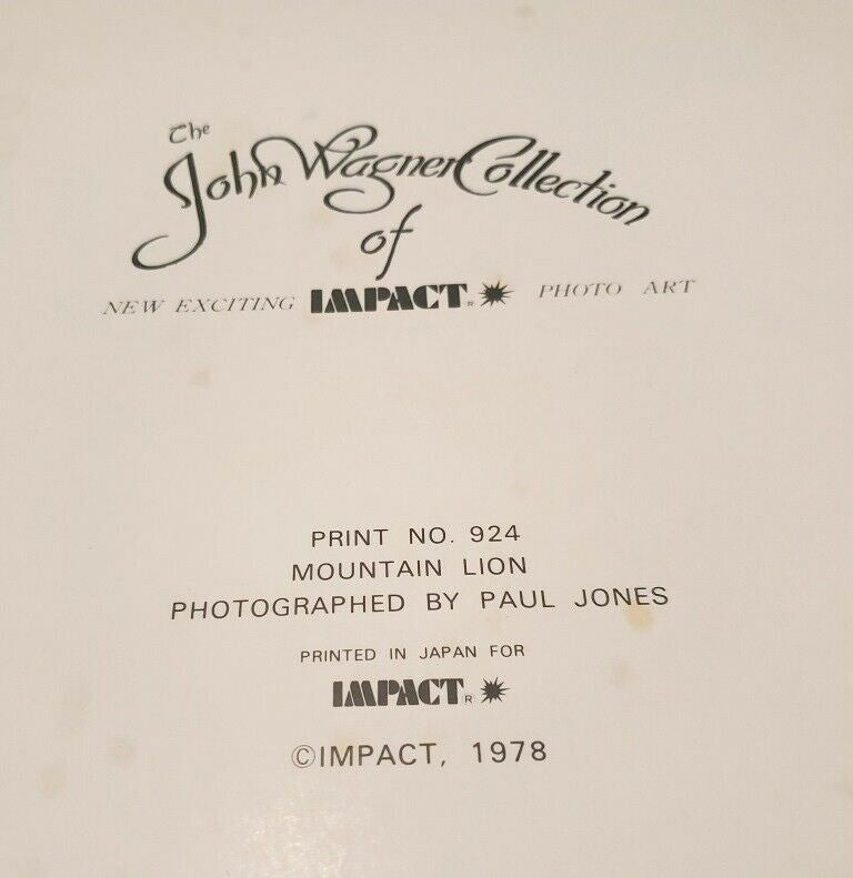John Wagner Collection IMPACT Photo Print 1978 Waterfall and Mountain Lion