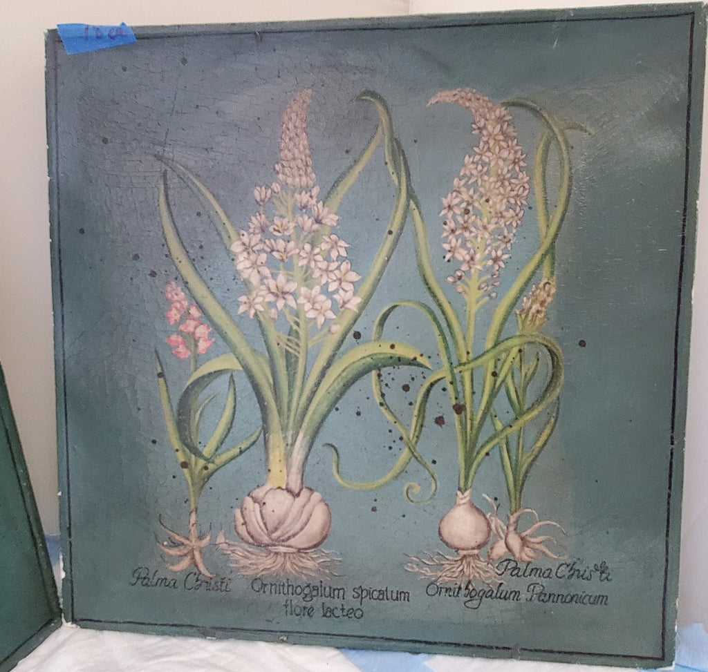 Two Palma Christi Ornithogalum Pannonicum Painting Home Decor
