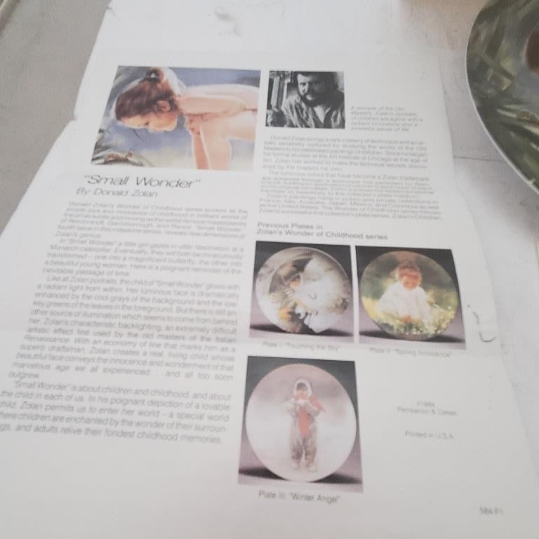 Pemberton & Oakes 1985 in Small Wonder Collector Plate by Donald Zolan