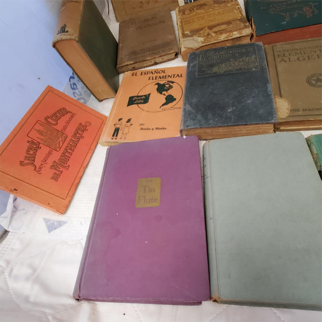 Maury’s Manual of Geography and Lot of Old Books