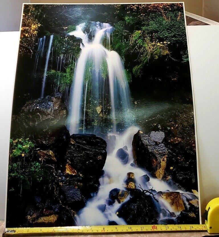 John Wagner Collection IMPACT Photo Print 1978 Waterfall and Mountain Lion