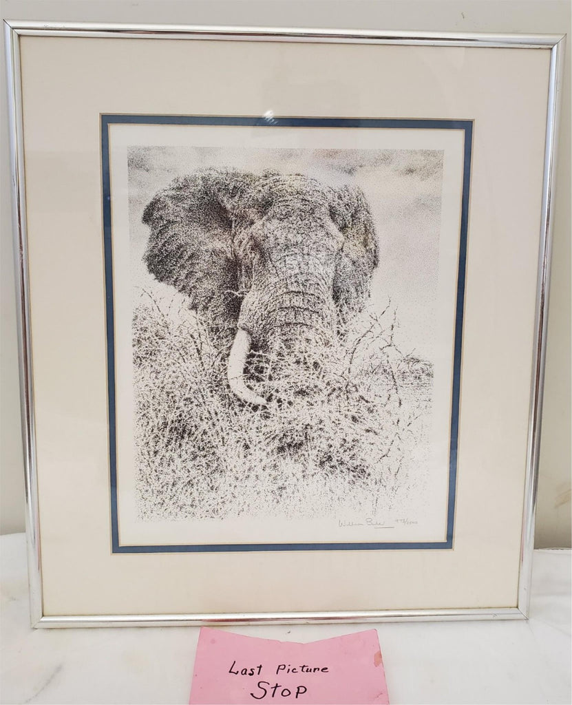 William Baker Elephant Head Print Signed & Framed Limited Edition Nature Artwork