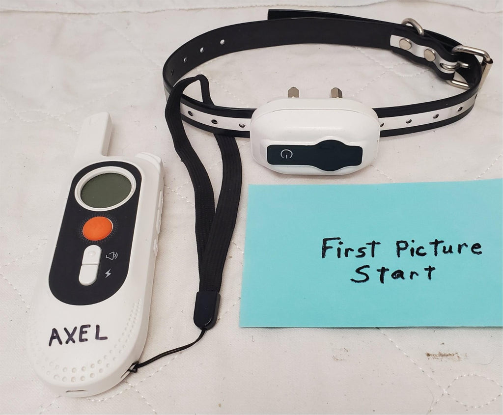 Dinjoo Ipx7 Waterproof Dog Shock Training Collar with Remote