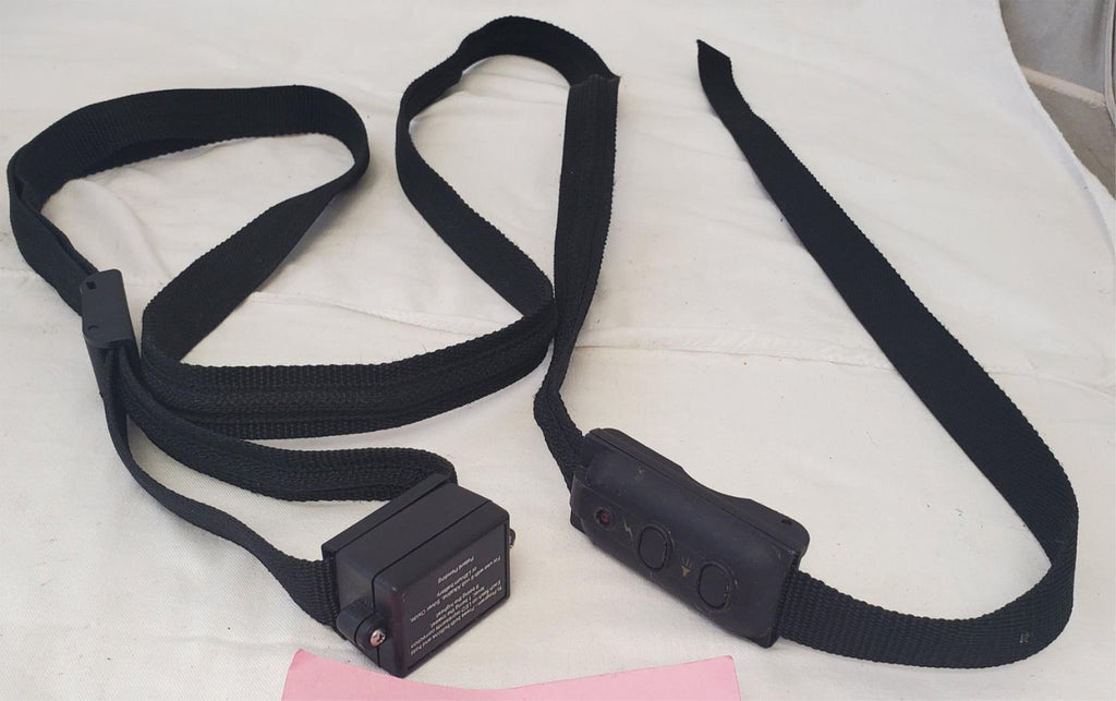 PetSafe Electronic Leash Lead Pet Training System