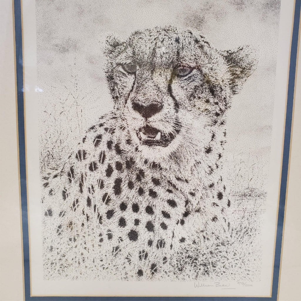 William Baker Cheetah Wildlife Framed Art Print 8 x10 Matted Pencil 973/2500