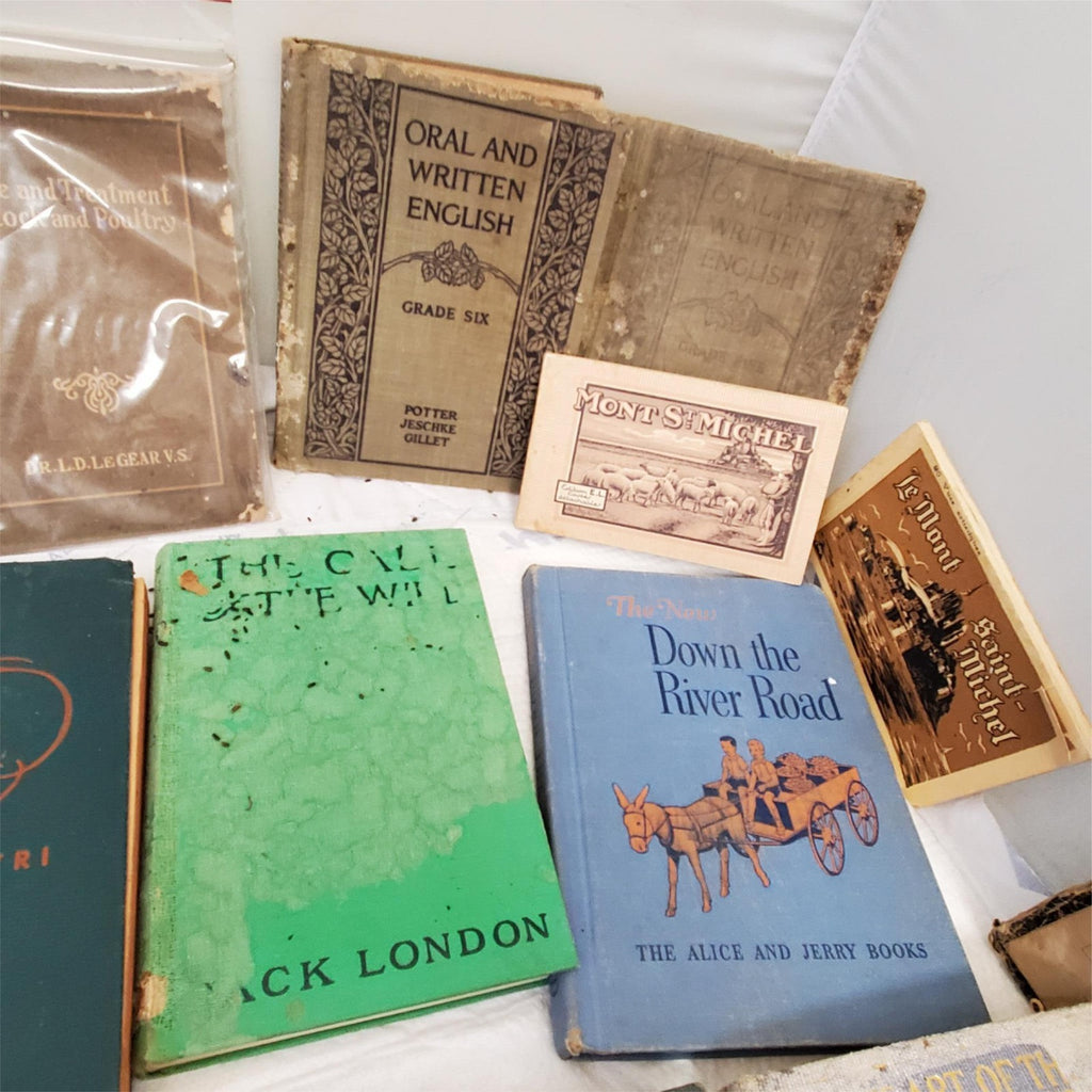 Maury’s Manual of Geography and Lot of Old Books