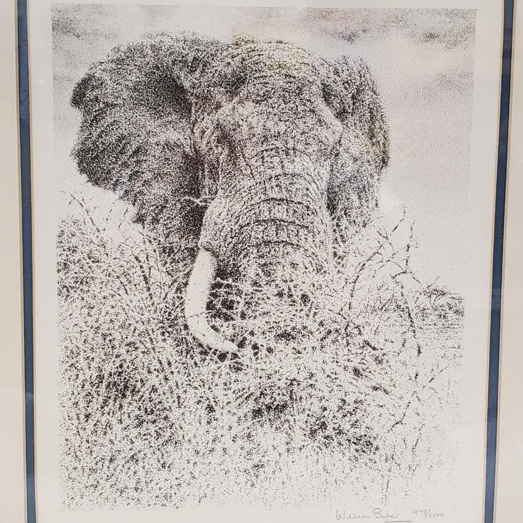 William Baker Elephant Head Print Signed & Framed Limited Edition Nature Artwork