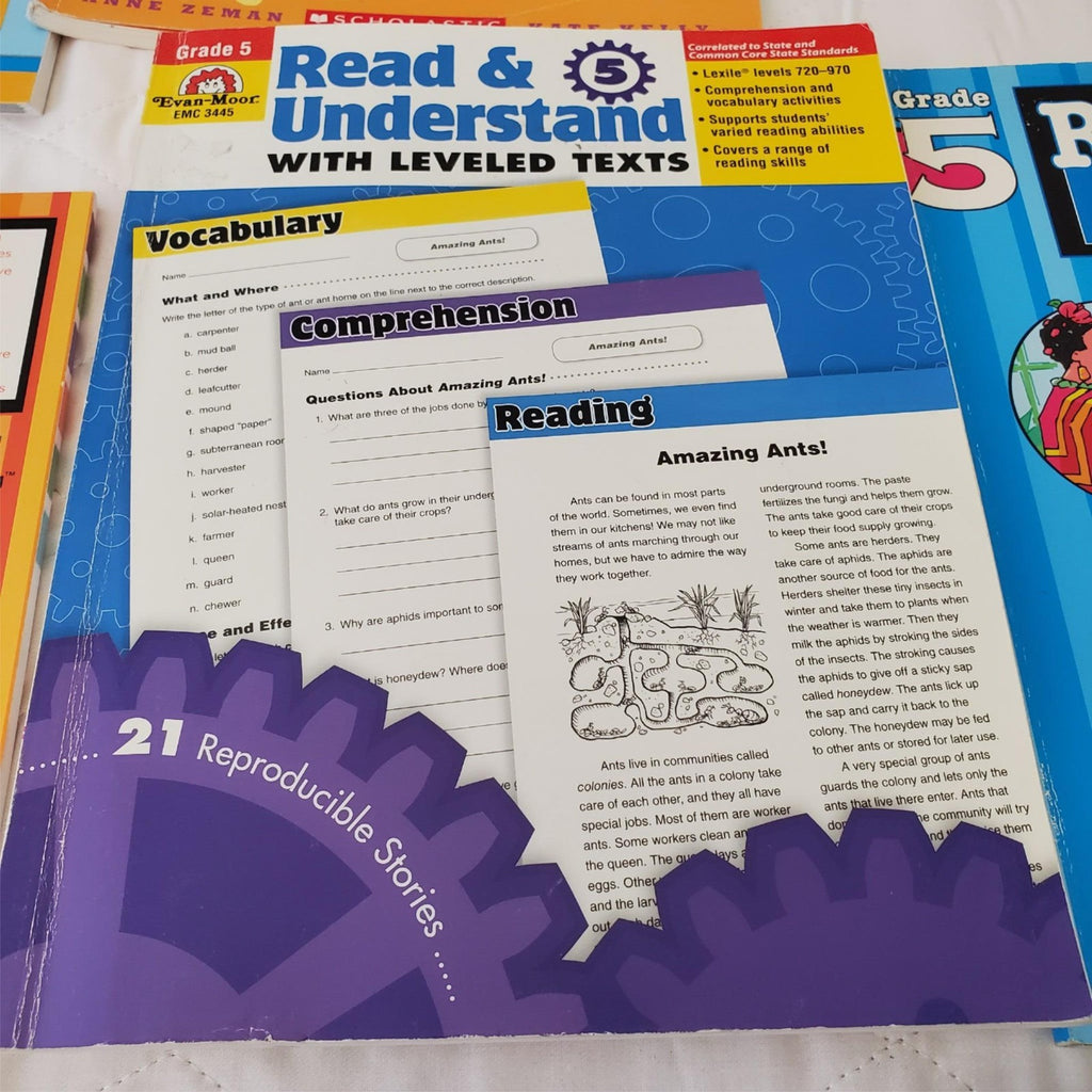 Lot of Various Everything You Need To Know About Knowledge Books