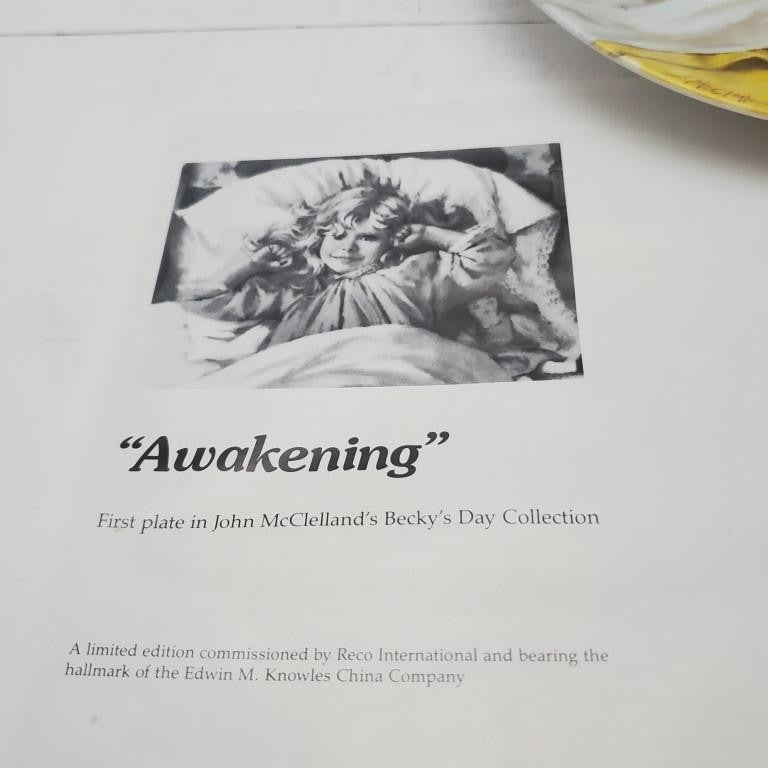 Reco Learning is Fun & RECO Awakening John McClelland Becky Day Collection Plate