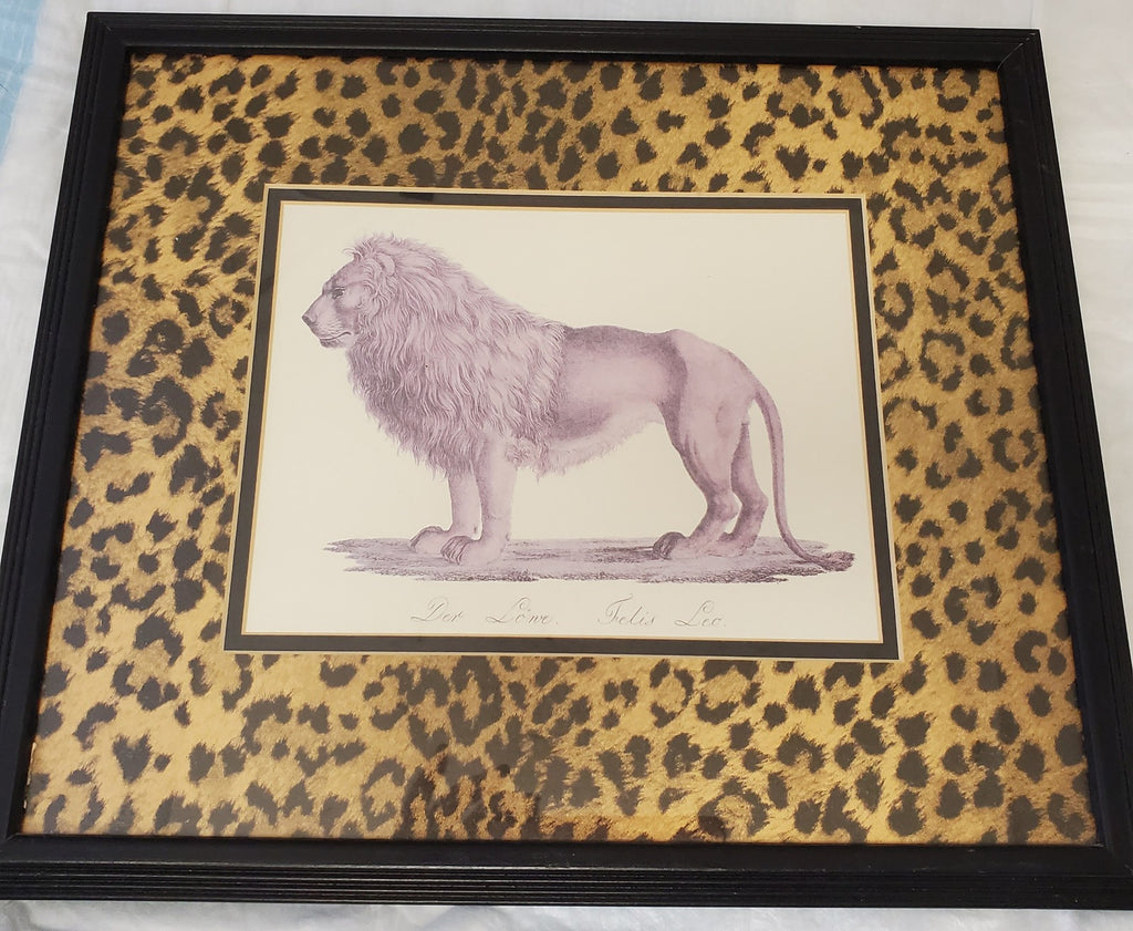 Safari Jungle Decor Print Der Lone Felis Leo Matted Framed Lion Print