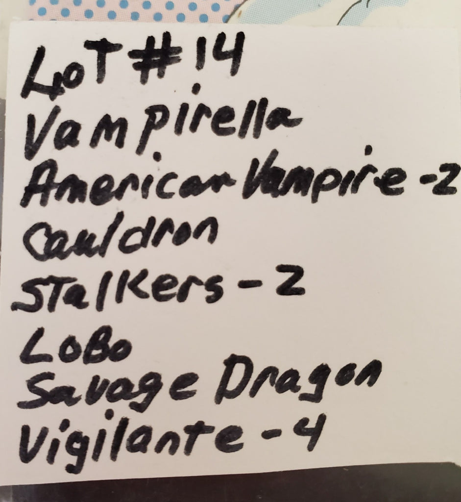 Lot of 12 Vampirella American Vampire Stalkers Lobo & Other Comic Books #14
